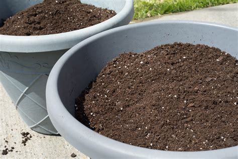 Potting Soil Types Explained: Get Your Mix Right For Healthy Plant ...