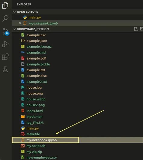 Image result for Jupyter IPython Notebook Containing NPP