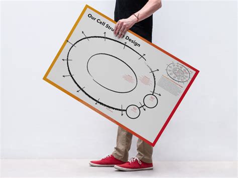 Image result for Basic Cell Structure Poster