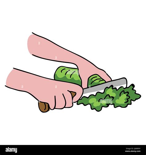 Cutting vegetable clip art Stock Vector Image & Art - Alamy