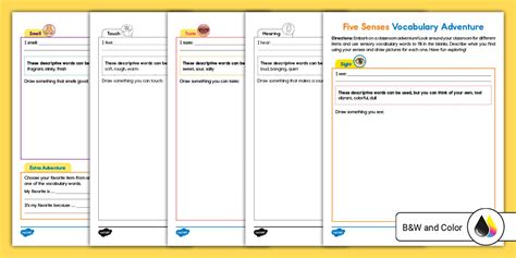 Five Senses Vocabulary Adventure Worksheet (teacher made)
