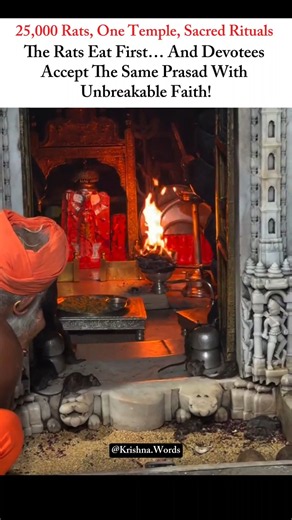 Mysterious Karni Mata Temple Where Rats Are Worshipped! 🙏