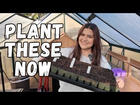 What I'm Growing In January