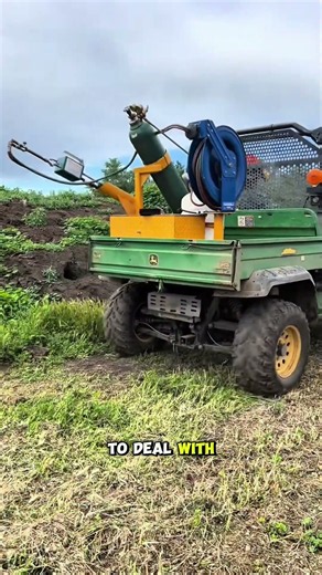This Farmer's Unusual Way of Killing Underground Pests! #shorts #farmer