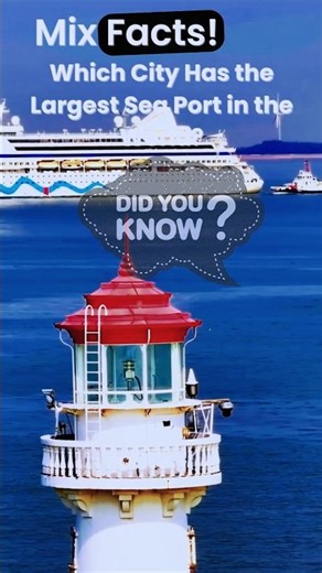 Which City Has the Largest Sea Port in the World?#shanghai #viralvideo