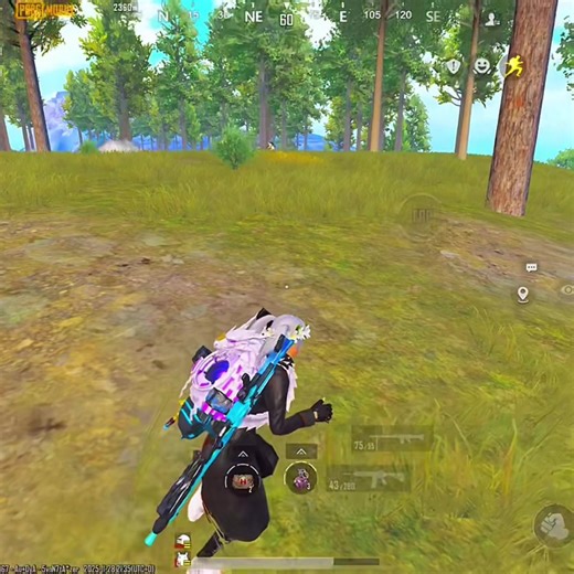 Ultimate Life in PUBG Mobile: Join the Adventure!