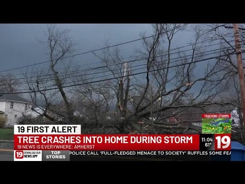Storms batter Northeast Ohio, bringing down power lines leaving thousands in the dark
