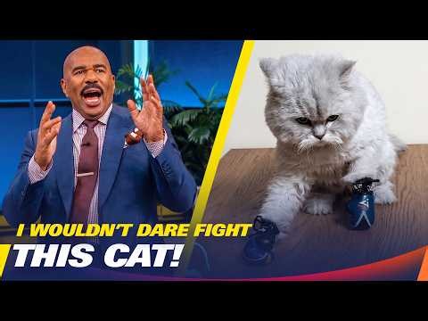 I React To The Funniest Fails On The Internet! | Steve Harvey