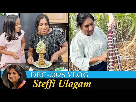 Harvesting SugarCane | Gingerbread House Decorating Vlog in Tamil