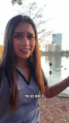 Orlando officials confirm avian flu responsible for 19 swan deaths at Lake Eola Park