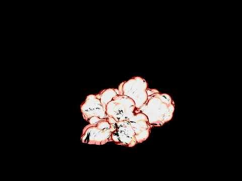 Explosion Prac (Blender)