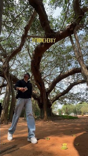 OPPO Reno 15 Series | The Travel Tribe Chapter 4 | Golden Hours by the Bay 🌅