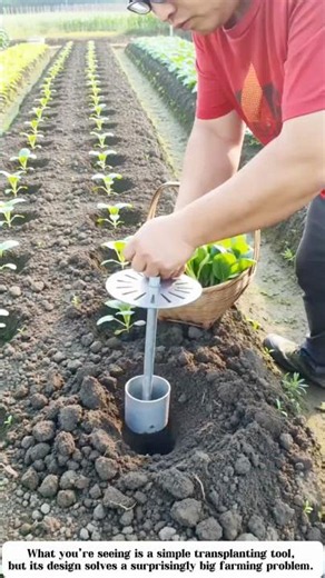 🌱 This Clever Planting Tool Makes Every Seedling Perfect!