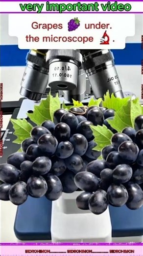 Look at grapes under a microscope ||#new#viral#facts#shorts#graps