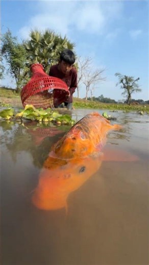 Really Amazing Polo Fishing Challenge ✅ Fishing Video #shorts #funny #viralvideos