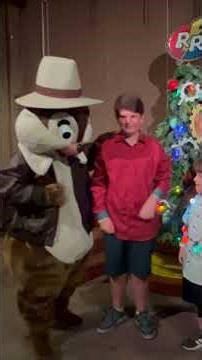 Meeting Chip N Dale Rescue Rangers Meet & Greet Hollywood Studios at Disney World
