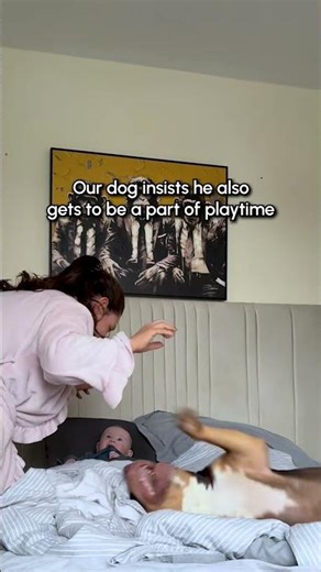 Dog Enjoys Playtime With Newborn Baby