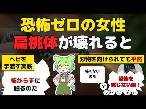 【脳科学】恐怖をほぼ感じない女性SM、扁桃体が教える3つの事実