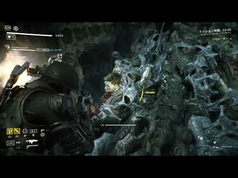 パルマさんと2人で行くインセイン(4-3 王殺し/アモホーダー)【エイリアンファイアーチームエリート/AliensFireteamElite】