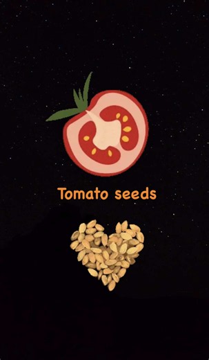 How to Save Tomato Seeds for Next Season