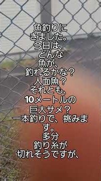 魚釣りにきました。今日は、どんな魚が、釣れるかな？人面魚？それとも、10メートルの巨大サメ？一本釣りで、挑みます。多分釣り糸が切れそうですが、