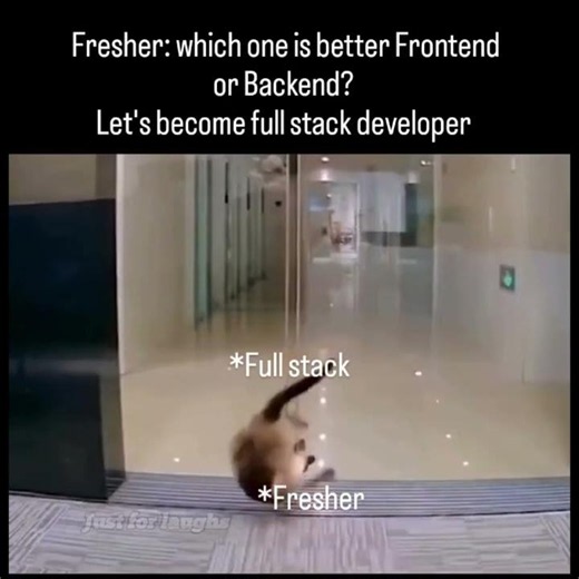 Frontend vs Backend 😂 Every Fresher's Dream: Become a Full Stack Developer!