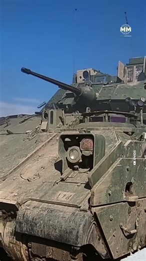 M2 Bradley In Action: 25mm Cannon Vs Everything