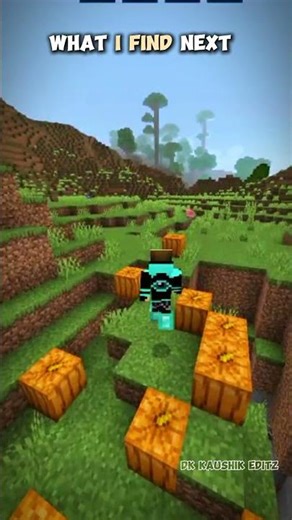 Run until I find a floating block 😱 | Minecraft challenge gone wrong!!