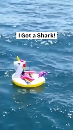SHARK Pulls FLORIDA MAN 4 Miles Offshore on UNICORN FLOATY!