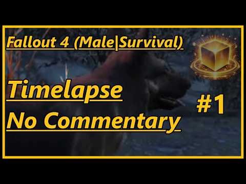 Fallout 4 (Survival|Male) LONGPLAY [TIMELAPSE] - 1