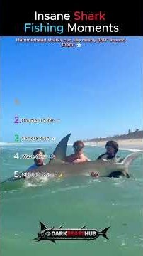 Ranking Insane Shark Fishing Moments 🦈