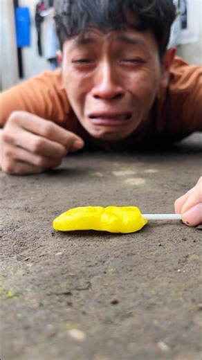 Tears turn into smiles when the pill millipede is willing to return to us once more #rolypoly