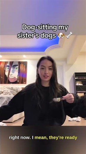 Sakura's Dog-Sitting Three Dogs and It's a Zoo