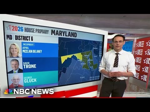 Alan Wilson projected winner in South Carolina Republican governor primary