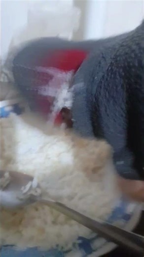 RAT PUPPET EAT RICE!