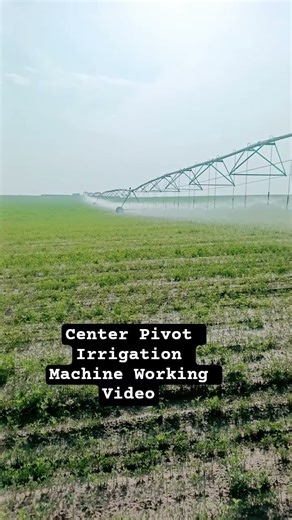 Center Pivot Irrigation Machine Working Video #CenterPivotIrrigation #irrigationsystem #pivot