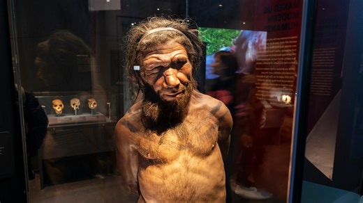 Scientists Figured Out How Smart Neanderthals Were (We Were All Wrong)