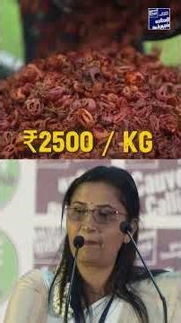 12 லட்சம் தரும் ஜாதிக்காய் விவசாயம்!#Cauverycalling #nutmeg #agroforestry