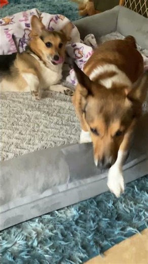 FREYA CRACKS ME UP!!!