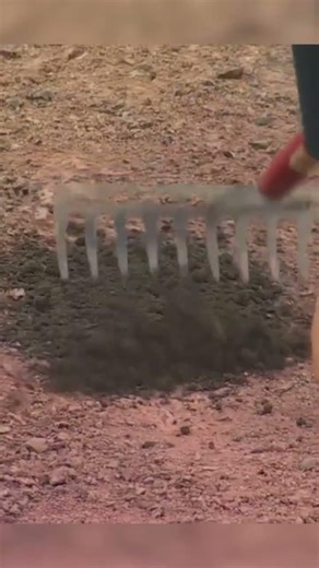 The most satisfying video you’ll see this week 😮 💨