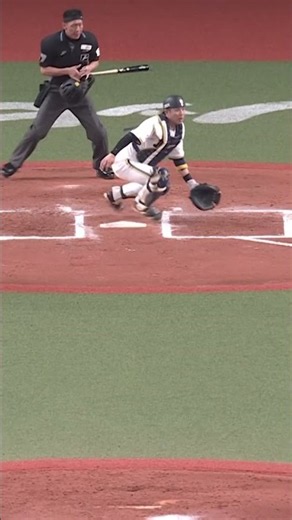 田宮裕涼先制タイムリー!! 矢澤宏太の好走塁も光りついに均衡破れる！ #ドミれ #lovefighters