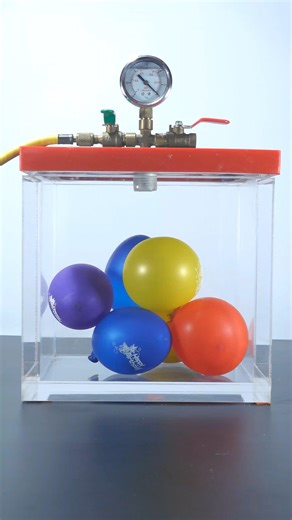 Nex lab on Instagram: "Which Balloon Survives the Longest Inside a Vacuum? 🎈💨#fblifestyle #science #physicsexperiment"