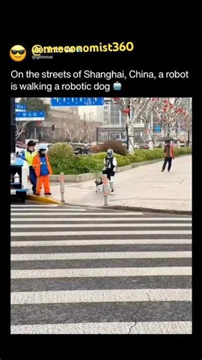 On the street of Shanghai,China, a Robo working withrobotic dog #robotshop#japaneserobots #robosonic