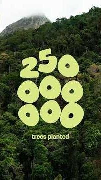 This didn't make the front page. But 250 million trees are growing 🌱
