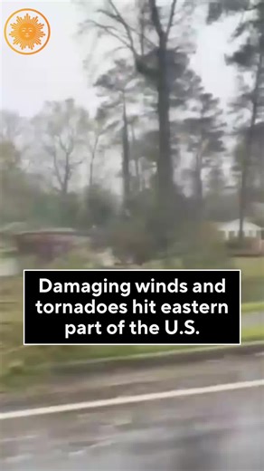 Georgia Mom's Narrow Escape from Falling Tree