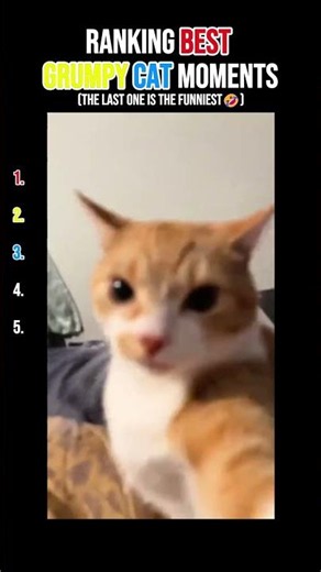 Ranking the FUNNIEST Grumpy Cat Moments 😾😂
