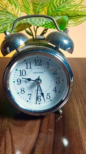 Sea Regal Silver Alarm Clock – Classic Vintage Look
