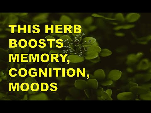 Bacopa Ayurvedic Herb (Brahmi) Memory Medicine Research