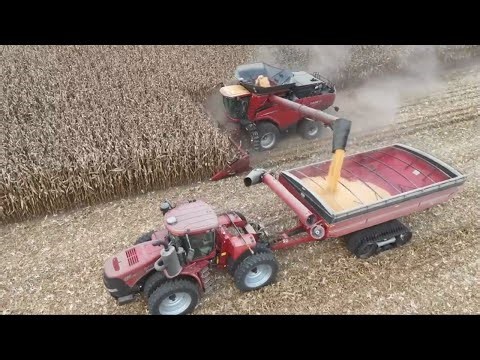 Corn Silage Chopping in part 2 and more