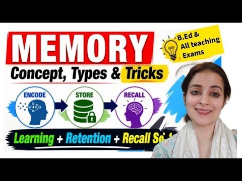 Memory: Concept, Types & Strategies to Improve Memory | Complete Guide for Exams